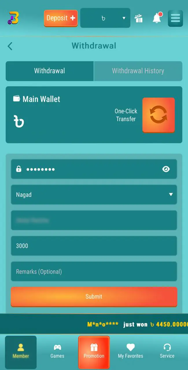 Carefully and accurately fill in all required fields to withdraw funds from BouncingBall8.