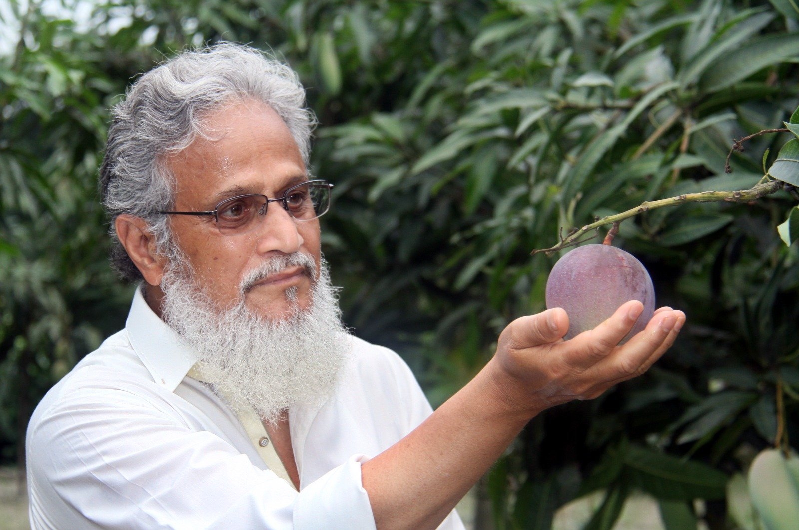 সৌখিন কৃষি ও দরিদ্র জনগোষ্ঠীর মানবিক সেবা কাজে কুসুমপুর গ্রামবাসীর ভালোবাসায় শিক্ত ভেষজ বিজ্ঞানী বীর মুক্তিযোদ্ধা সৈয়দ টিপু সুলতান আর,পিএইচ (R.Ph)